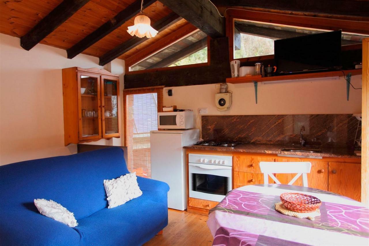 La Cabana Del Moli De La Plana Riudaura Экстерьер фото