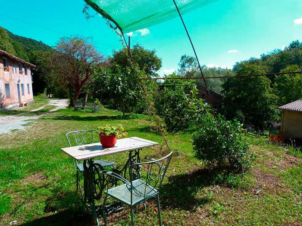 La Cabana Del Moli De La Plana Riudaura Экстерьер фото